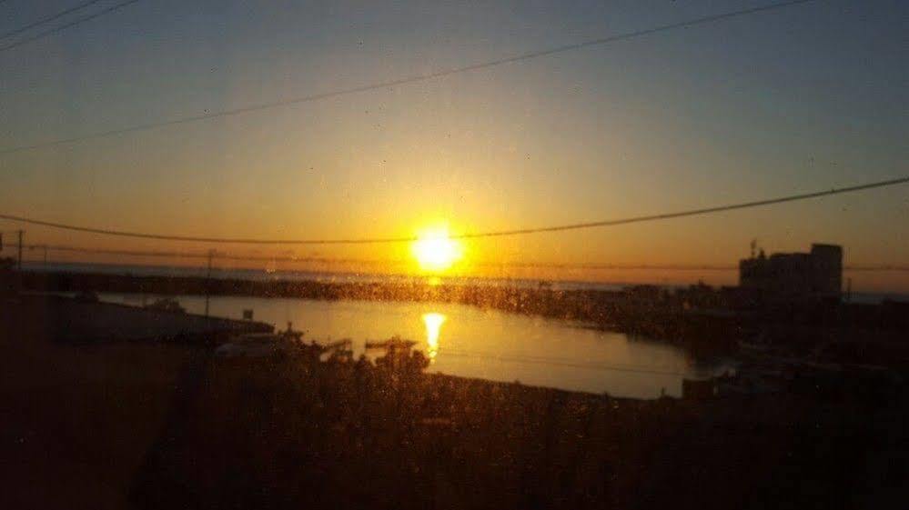 Haevichi Elmar Guesthouse Seogwipo-stad Buitenkant foto